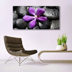 tulup.si Slika na akrilnem steklu Flower stones art 140x70 cm 2 obešalnika