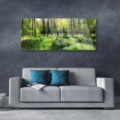 tulup.si Slika na akrilnem steklu Forest grass nature rastlin 125x50 cm 4 obešalnika