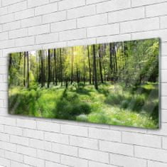 tulup.si Slika na akrilnem steklu Forest grass nature rastlin 125x50 cm 4 obešalnika