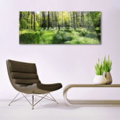 tulup.si Slika na akrilnem steklu Forest grass nature rastlin 125x50 cm 4 obešalnika