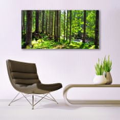 tulup.si Slika na akrilnem steklu Narava rastlin forest trees 140x70 cm 4 obešalnika