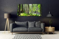 tulup.si Slika na akrilnem steklu Narava rastlin forest trees 140x70 cm 4 obešalnika