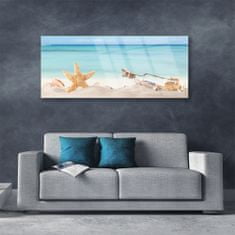 tulup.si Slika na akrilnem steklu Starfish školjke beach 125x50 cm 2 obešalnika