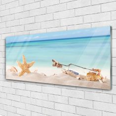 tulup.si Slika na akrilnem steklu Starfish školjke beach 125x50 cm 2 obešalnika