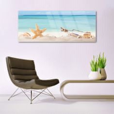 tulup.si Slika na akrilnem steklu Starfish školjke beach 125x50 cm 2 obešalnika