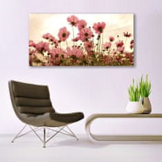 tulup.si Slika na akrilnem steklu Cvetje wildflowers travnik narava 140x70 cm 2 obešalnika