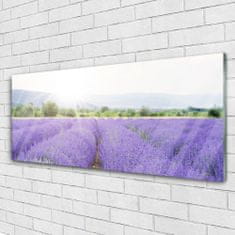 tulup.si Slika na akrilnem steklu Lavender polje travnik narava 125x50 cm 2 obešalnika