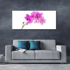 tulup.si Slika na akrilnem steklu Orchid cvet orhideje 125x50 cm 2 obešalnika