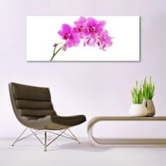 tulup.si Slika na akrilnem steklu Orchid cvet orhideje 125x50 cm 2 obešalnika