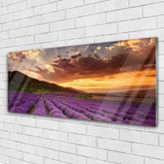 tulup.si Slika na akrilnem steklu Področje lavender sunset 125x50 cm 4 obešalnika