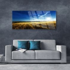 tulup.si Slika na akrilnem steklu Pšenična polja sun landscape 125x50 cm 2 obešalnika