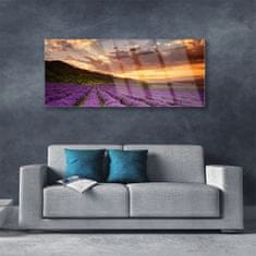 tulup.si Slika na akrilnem steklu Področje lavender sunset 125x50 cm 4 obešalnika