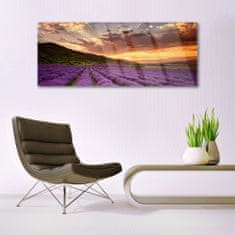 tulup.si Slika na akrilnem steklu Področje lavender sunset 125x50 cm 4 obešalnika