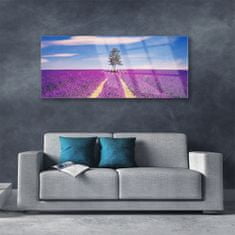 tulup.si Slika na akrilnem steklu Lavender polje travnik drevo 125x50 cm 2 obešalnika