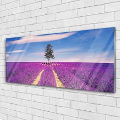 tulup.si Slika na akrilnem steklu Lavender polje travnik drevo 125x50 cm 2 obešalnika