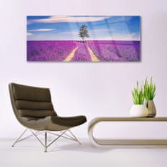 tulup.si Slika na akrilnem steklu Lavender polje travnik drevo 125x50 cm 2 obešalnika