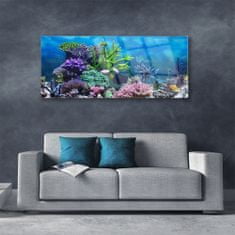 tulup.si Slika na akrilnem steklu Aquarium fish pod vode 125x50 cm 4 obešalnika