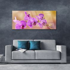 tulup.si Slika na akrilnem steklu Poganjki orchid rože narava 125x50 cm 4 obešalnika