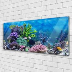 tulup.si Slika na akrilnem steklu Aquarium fish pod vode 125x50 cm 4 obešalnika