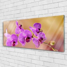 tulup.si Slika na akrilnem steklu Poganjki orchid rože narava 125x50 cm 4 obešalnika