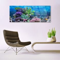 tulup.si Slika na akrilnem steklu Aquarium fish pod vode 125x50 cm 4 obešalnika