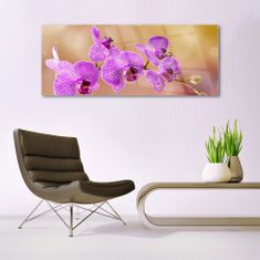 tulup.si Slika na akrilnem steklu Poganjki orchid rože narava 125x50 cm 4 obešalnika