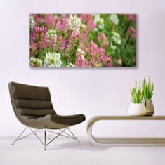 tulup.si Slika na akrilnem steklu Cvetje wildflowers travnik narava 140x70 cm 4 obešalnika