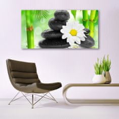 tulup.si Slika na akrilnem steklu Bamboo daisy flower 140x70 cm 4 obešalnika