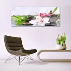 tulup.si Slika na akrilnem steklu Bamboo orchid cvetje 125x50 cm 2 obešalnika