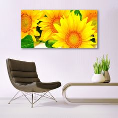 tulup.si Slika na akrilnem steklu Sončnica flower narava 140x70 cm 4 obešalnika