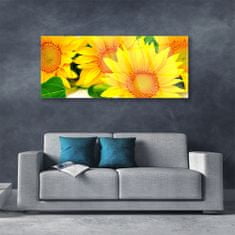 tulup.si Slika na akrilnem steklu Sončnica flower narava 125x50 cm 2 obešalnika