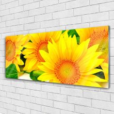 tulup.si Slika na akrilnem steklu Sončnica flower narava 125x50 cm 2 obešalnika