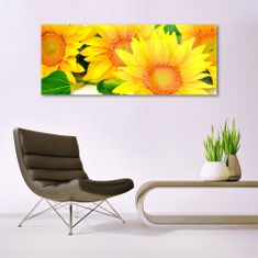 tulup.si Slika na akrilnem steklu Sončnica flower narava 125x50 cm 2 obešalnika