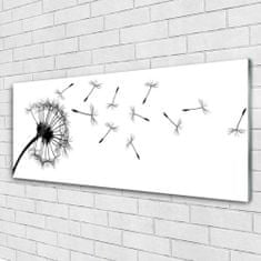 tulup.si Slika na akrilnem steklu Regrat dandelion flower 125x50 cm 2 obešalnika