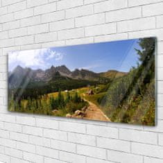 tulup.si Slika na akrilnem steklu Dvorana travnik mountain road narava 125x50 cm 2 obešalnika