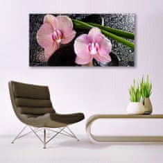 tulup.si Slika na akrilnem steklu Orchid rože orhideja zen 140x70 cm 2 obešalnika