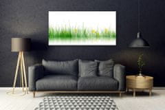 tulup.si Slika na akrilnem steklu Narava grass flowers 140x70 cm 2 obešalnika