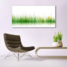 tulup.si Slika na akrilnem steklu Narava grass flowers 140x70 cm 2 obešalnika