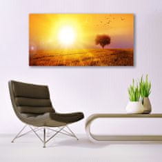 tulup.si Slika na akrilnem steklu Sunset meadow ptice 140x70 cm 2 obešalnika