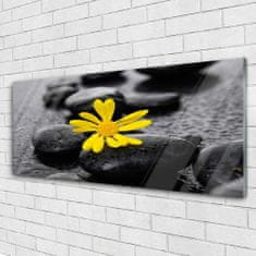 tulup.si Slika na akrilnem steklu Yellow flower nature spa 125x50 cm 2 obešalnika