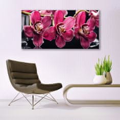 tulup.si Slika na akrilnem steklu Orchid rože narava poganjki 140x70 cm 2 obešalnika