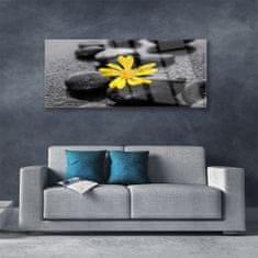 tulup.si Slika na akrilnem steklu Yellow flower nature spa 125x50 cm 2 obešalnika