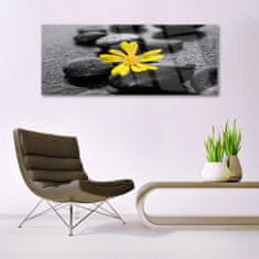 tulup.si Slika na akrilnem steklu Yellow flower nature spa 125x50 cm 2 obešalnika