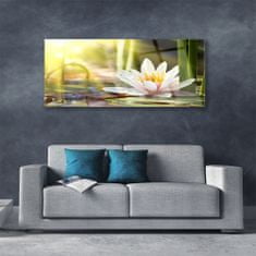 tulup.si Slika na akrilnem steklu Flower water lily 125x50 cm 4 obešalnika