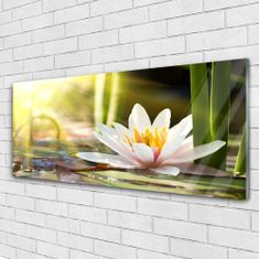 tulup.si Slika na akrilnem steklu Flower water lily 125x50 cm 4 obešalnika