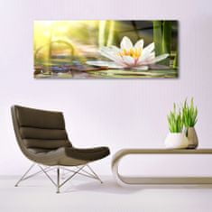 tulup.si Slika na akrilnem steklu Flower water lily 125x50 cm 4 obešalnika