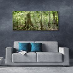 tulup.si Slika na akrilnem steklu Narava jungle forest trees 125x50 cm 2 obešalnika