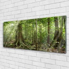 tulup.si Slika na akrilnem steklu Narava jungle forest trees 125x50 cm 2 obešalnika