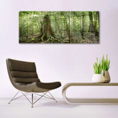 tulup.si Slika na akrilnem steklu Narava jungle forest trees 125x50 cm 2 obešalnika