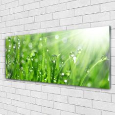 tulup.si Slika na akrilnem steklu Narava grass drops 125x50 cm 4 obešalnika